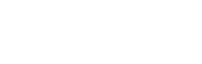 Tekwill Expo Day